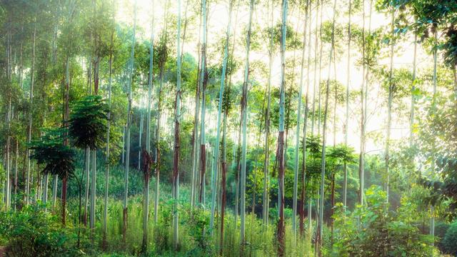 绝句古诗，绝句古诗杜甫（王维最美的10首五言绝句）