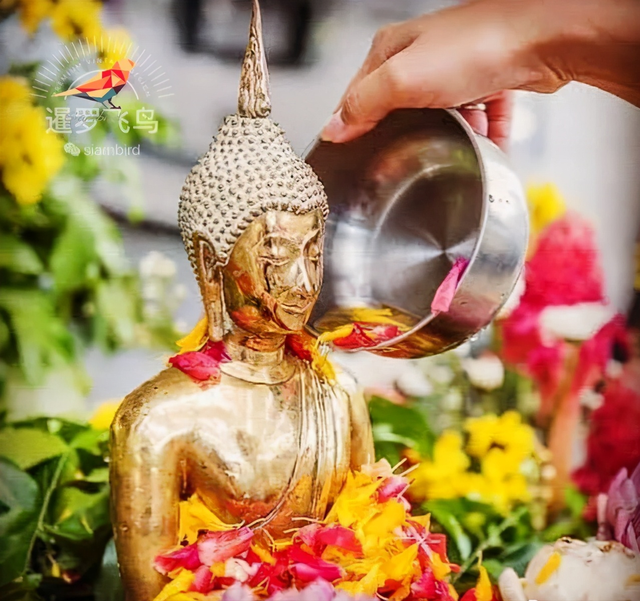 宋干节的宋干是什么意思 泰国的宋干节指的是什么，宋干节的宋干是什么意思（泰国宋干节那些事儿）