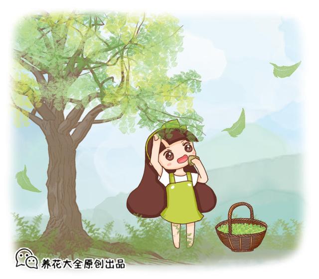 养花的花盆上的陶粒有什么作用，花盆里放的陶粒起什么作用（在盆底垫了一点“硬东西”）