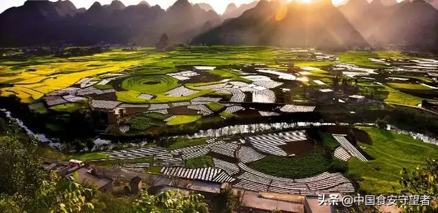 白洋淀的土特产是什么，白洋淀的土特产是什么名字（中国各省特产一览表）