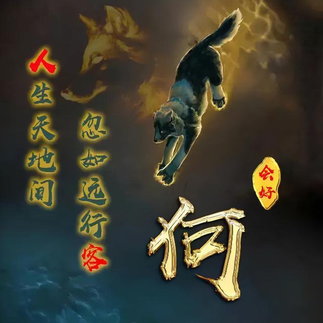 狼图片头像 凶猛 霸气 冷酷，100张姓氏霸气狼头像（100张“血性狼”姓氏头像、送给在困境中坚持梦想的你）