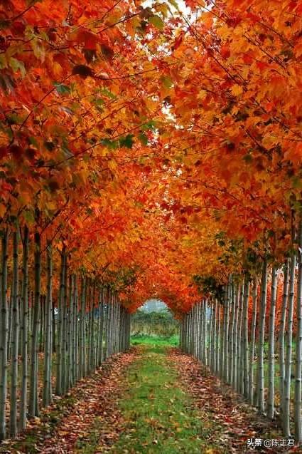 内蒙古人所说的风季是哪个季节，蒙古人的风季是什么季节（中国历史地理常识大全）