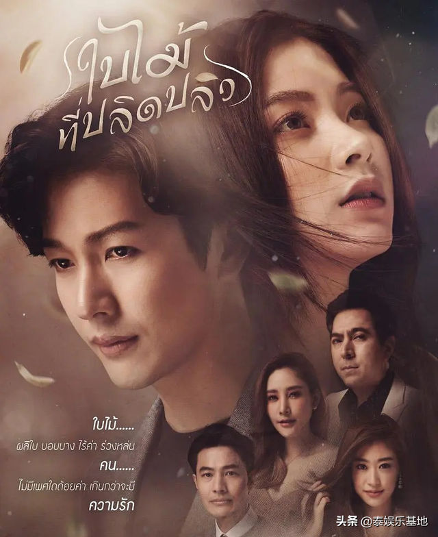 普提查·克瑟辛是混血吗，普提查·克瑟辛是中泰混血吗（推哥Push这些年组过的cp）