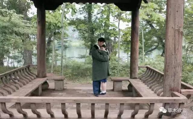 山楂树之恋原型老三真实事迹，山楂树之恋原型人物（《山楂树之恋》戏里戏外的故事）