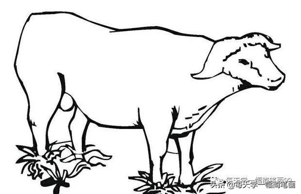 QQ红包牛简笔画图片