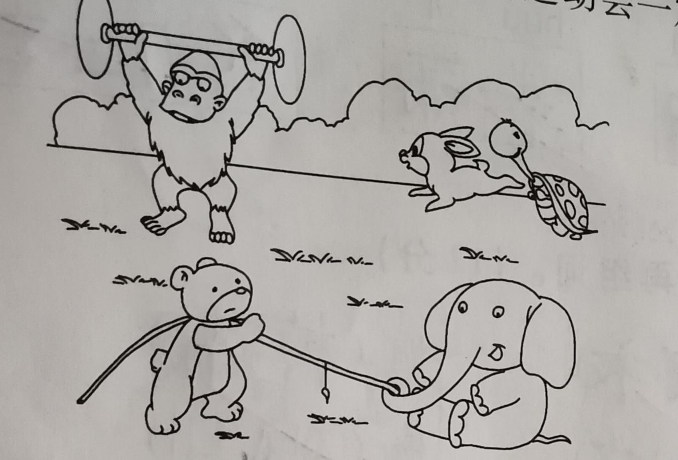 一个阳光明媚的早上,森林里的小动物们都来参加运动会了.