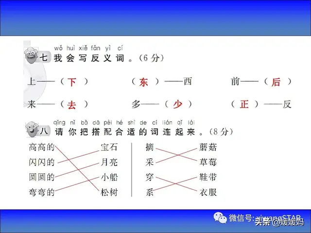 鸟字旁的字有哪些，部编版一年级语文上册期末知识点汇总附模拟卷及答案