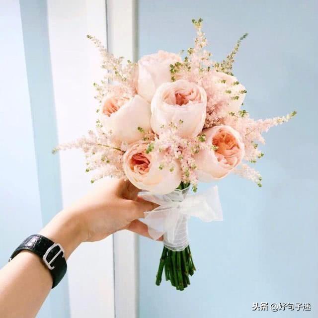 表达爱意的句子，楚辞中表达爱情的句子（适合发朋友圈最好听的情话）