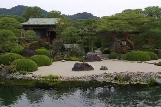 日式园林植物配置浅析，铃木摩托车