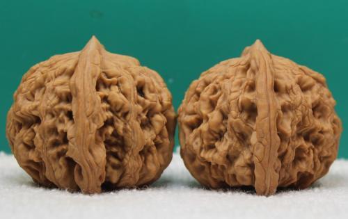 铁核桃和麻核桃区别，铁核桃和麻核桃怎么区分（一文带你全方位了解文玩核桃）