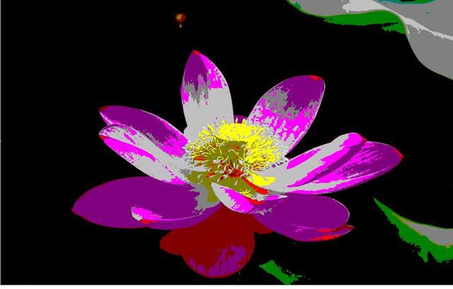 fps什么意思，fps是什么意思（2分钟告诉你什么是帧速率、码率和分辨率）