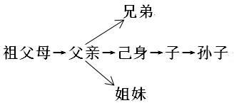 显性基因和隐性基因，什么是显性基因和隐性基因（第三节基因的显性和隐性知识梳理）