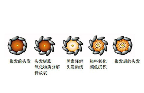 小妙招让头发立刻柔顺不干枯，怎样保养头发又黑又顺（洗头时注意这2点）