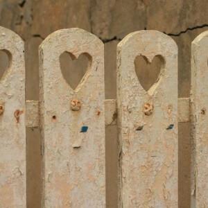 猪圈空荡荡，而你在人间。，微信头像，猪圈空荡荡，而你在人间。（45句可爱又有趣的句子。）