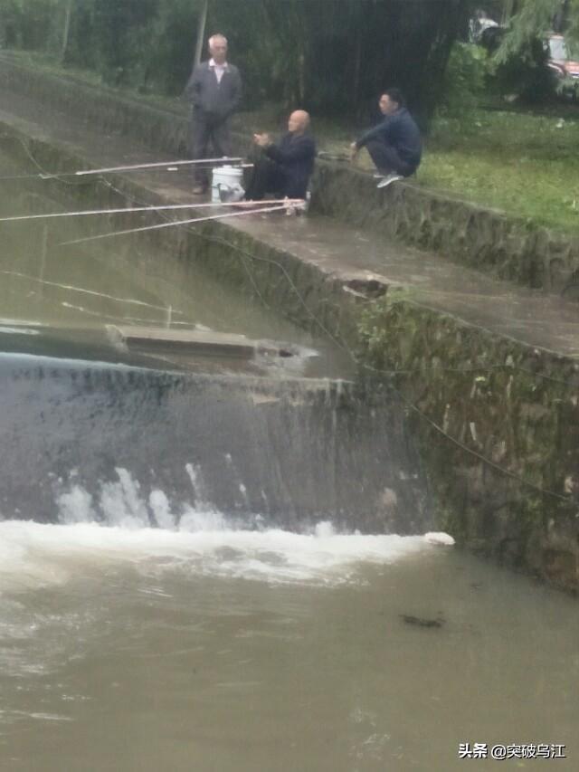 水是生命的源泉，为什么水是生命之源（是人类生命的源泉）