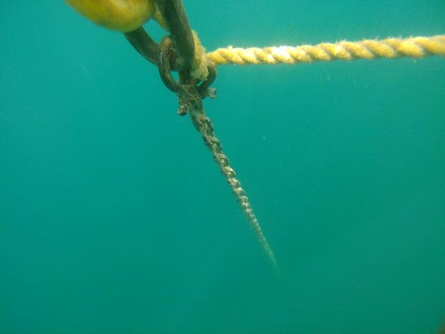 大海图片，大海图片真实照片（大海令人恐惧的一面）