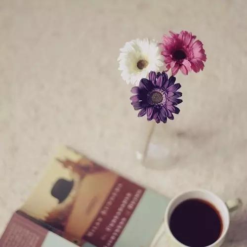 关于惜时的诗句，珍惜时间的古诗十首很优美（<关于惜时的诗词>）