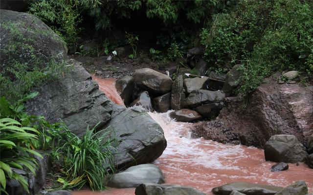 好吃不如饺子下一句，俗语好吃不如饺子下一句是什么（俗语赏析：好吃不如饺子）