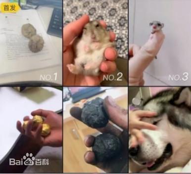 柠檬精是什么意思，柠檬树下柠檬精是什么意思（2019年网络流行语来了）