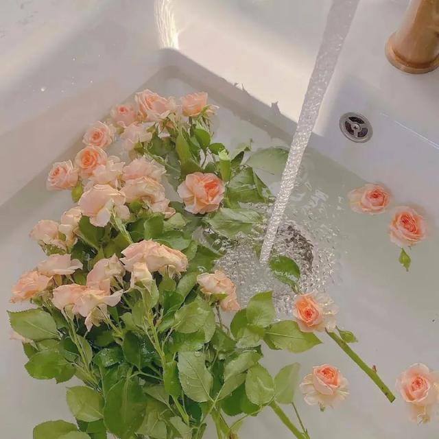 个性标签简短温柔，简洁温柔的个性签名（温柔干净的个性签名短句）