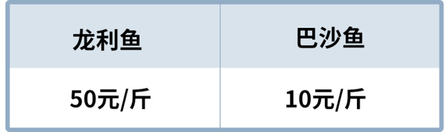龙利鱼和巴沙鱼的区别，怎么区别龙利鱼和巴沙鱼（超市里买的龙利鱼其实都是巴沙鱼）