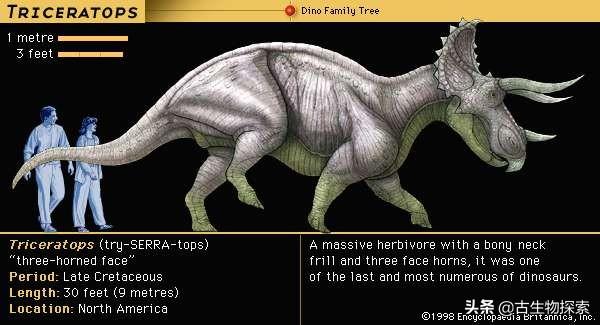 triceratops，triceratops是什么恐龙（三角龙能反杀霸王龙）