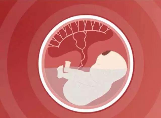 脐血流ri多少是正常值，脐血流ri值正常范围图（S/D值很重要吗）