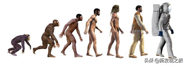 原核生物有哪些，高中生物原核生物有哪些（从原核生命到人类文明）