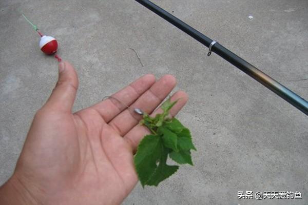 草鱼什么方法好钓，民间野钓草鱼的4种钓法