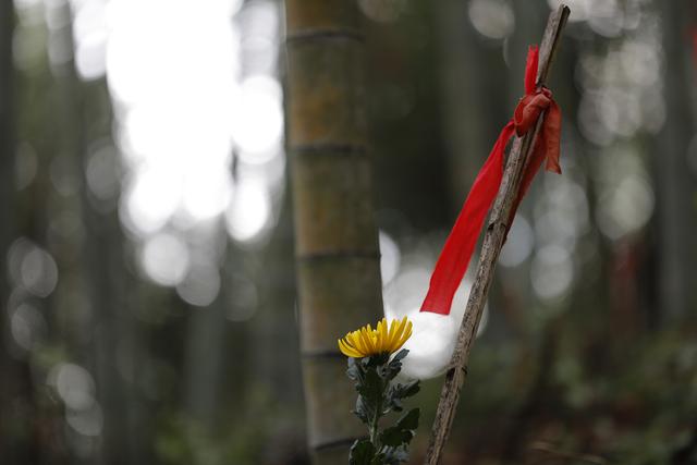 坟茔读音，坟茔读音怎么读（追寻1343座无名红军墓背后的故事）