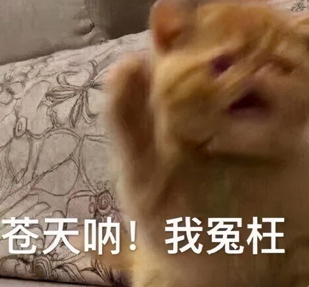 为什么次声波会杀人，为什么次声波有害（网上流传的三大禁曲有多可怕）