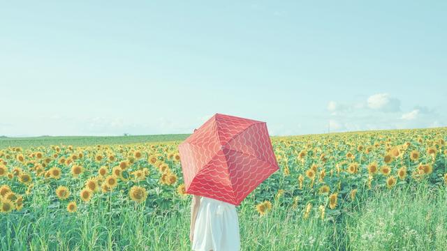 感悟人生图片大全，最精辟人生感悟短句图片（唯美图文：十句关于人生的感悟）