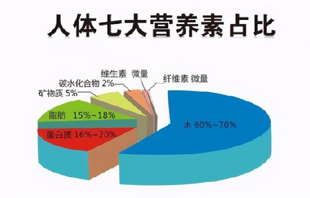 人体七大营养素的作用，人体七大营养素的作用与来源（人体7大营养素）