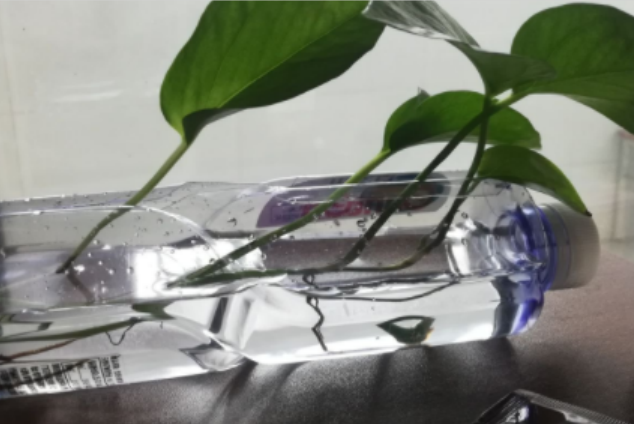 水里的氧气怎么来的，水中的氧气是怎么有的（就是因为瓶子里没氧气）