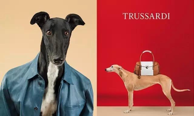 意大利十大名牌包，意大利的包包品牌大全（​意大利18个名誉世界的奢侈品牌）