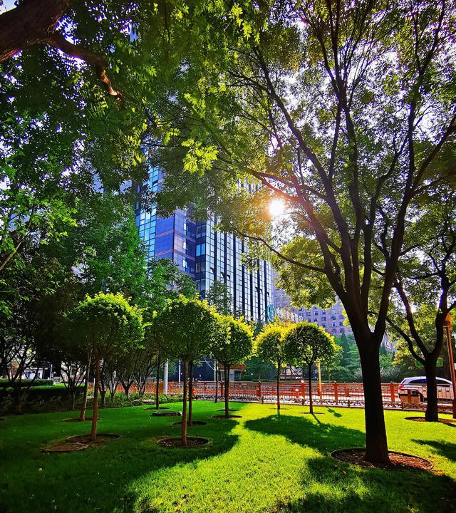 草长莺飞造句，草长莺飞造句和意思（形容绿荫的叠词有哪些）