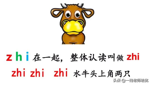 音序是什么?音节又是什么，音序是什么（小学汉语拼音——整体认读音节）