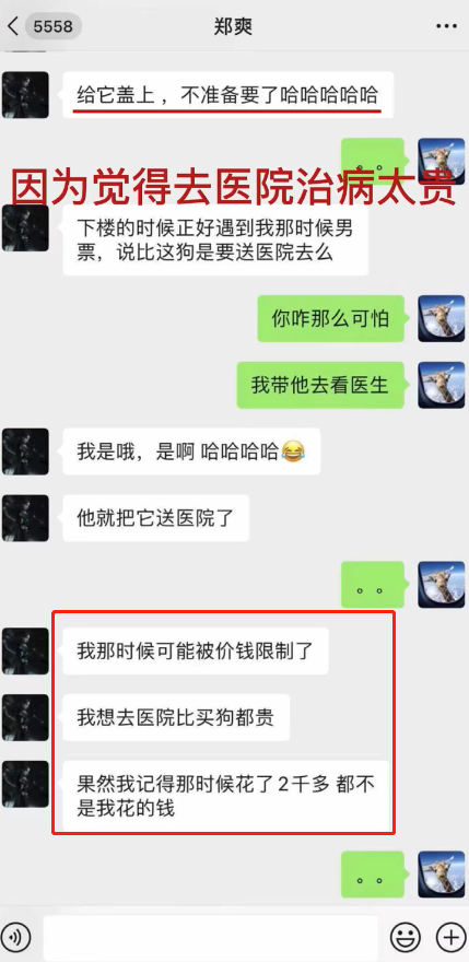 郑爽事件怎么回事？到底是什么造就了今天的郑爽？