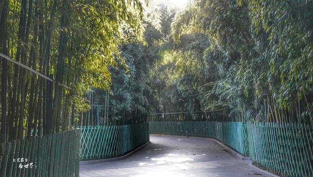 普陀山求什么最灵验，普陀山三年讲究（北京香火最旺的皇家寺庙）