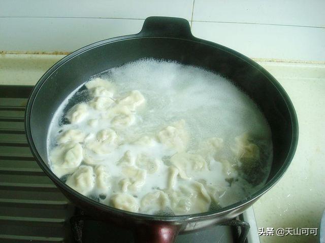 豆角馅饺子的做法，豆角饺子馅怎么做好吃（豆角包饺子，是用生的好）