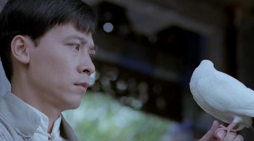 黄磊刘若英主演同性电影《夜奔》,三男一女情感乱炖,夫妻变情敌