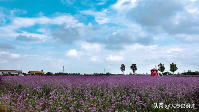 孝感有哪些好玩的旅游景点，孝感有哪些好玩的旅游景点金卉庄园（湖北孝感旅游攻略——孝感必去景点）