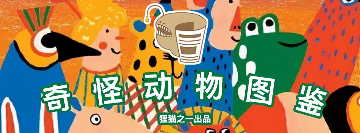 日本港口惊现罕见巨口鲨，神秘深海巨兽现身引轰动