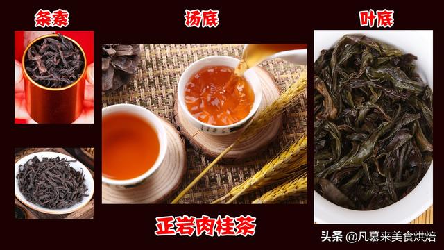 正岩肉桂是什么茶，正岩果香肉桂茶是什么茶（日常饮用要注意这4项）