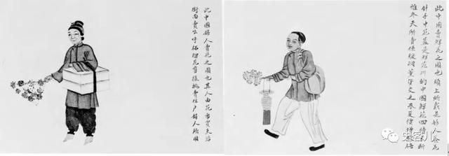 半空儿是什么，北京半空儿是什么（这些消逝的老北京风俗）
