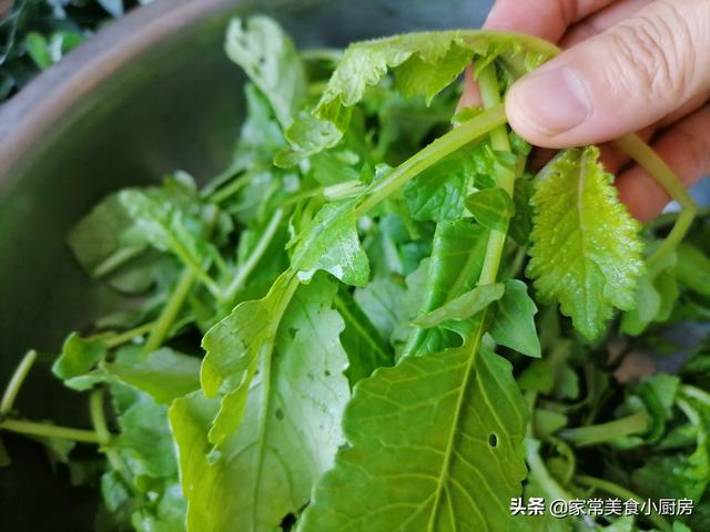 萝卜苗需要焯水吗，水萝卜需要焯水吗（间苗间出来的萝卜苗吗）