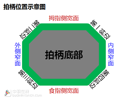 羽毛球握拍姿势图解法，羽毛球拍的正确握法（史上最详细羽毛球握拍大法）