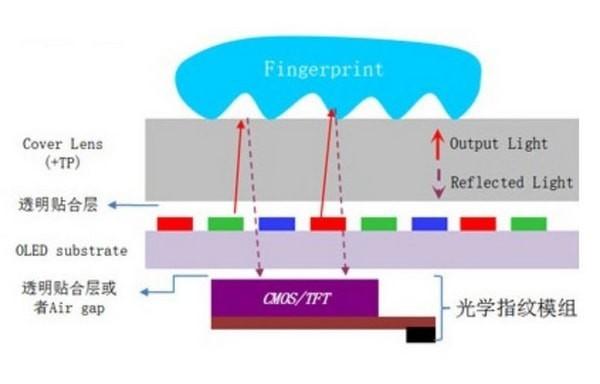 指纹识别的技术是什么，一文看懂三大指纹识别原理