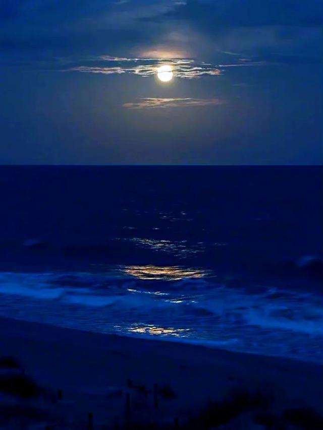 走心的酒文案，卖酒走心文案（适合喝酒发的伤感句子）