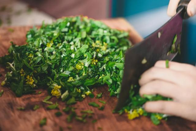 水菊(水菊草),吃一口黄花粑粑你就知道了(菊水是什么) 水菊(水菊草),吃一口黄花粑粑你就知道了(菊水是什么)